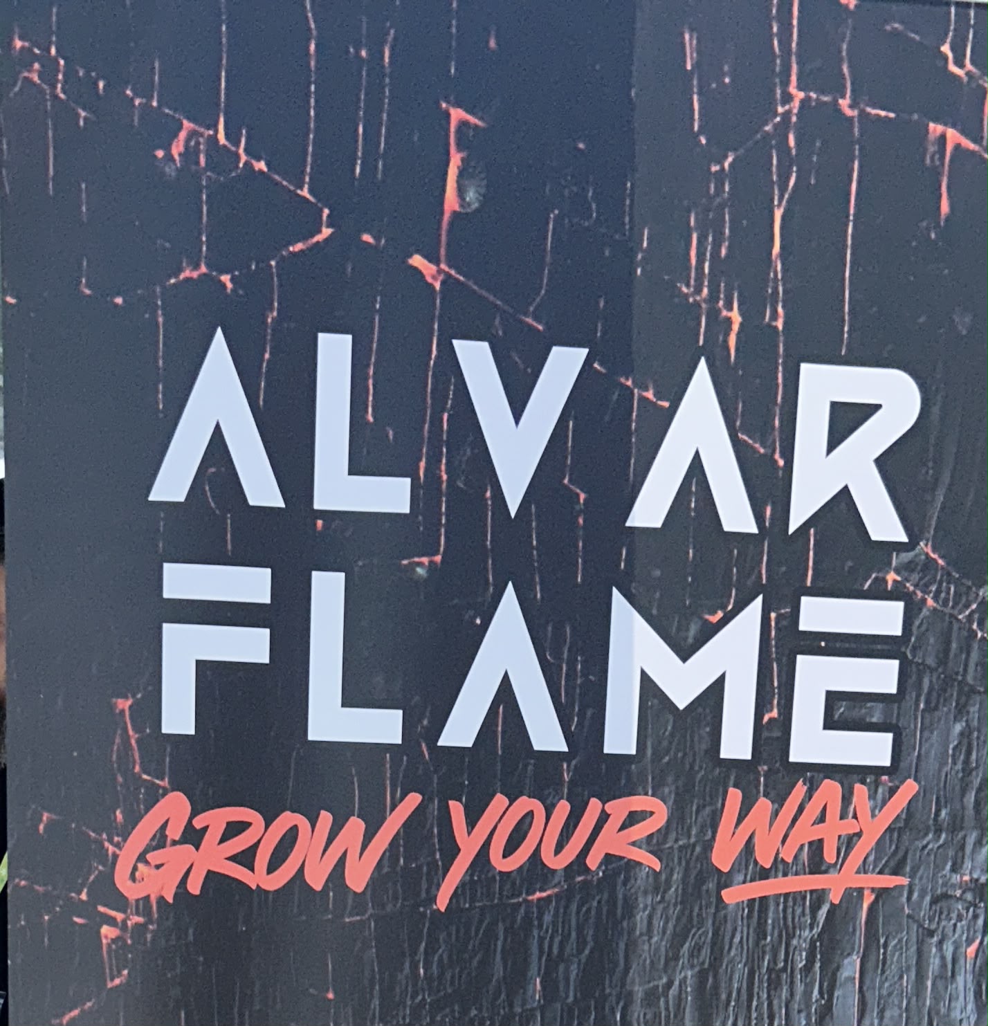 Alvar Flame Logo